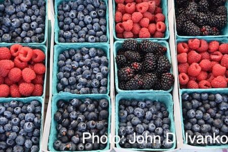 Ecotourism in San Diego, Part 2 Image